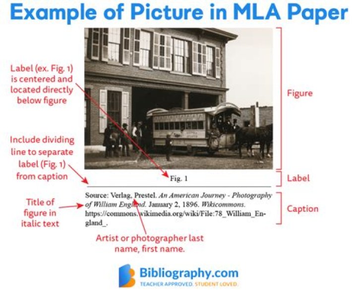 How do you cite a picture in MLA?