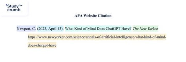 How do you cite a website at the end of a paper?