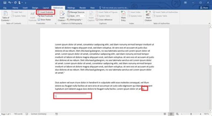 How do you cite endnotes in Word?