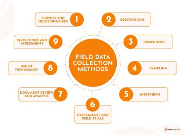 How do you collect data from thesis?