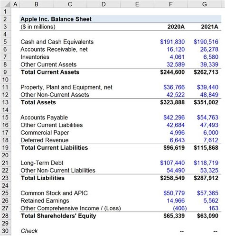 How do you display a balance sheet?