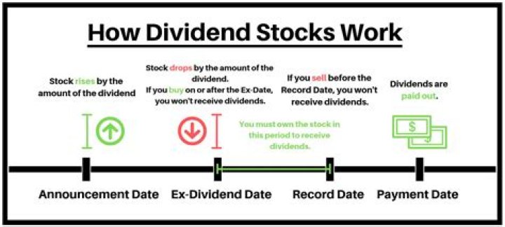 How do you receive stock dividends?