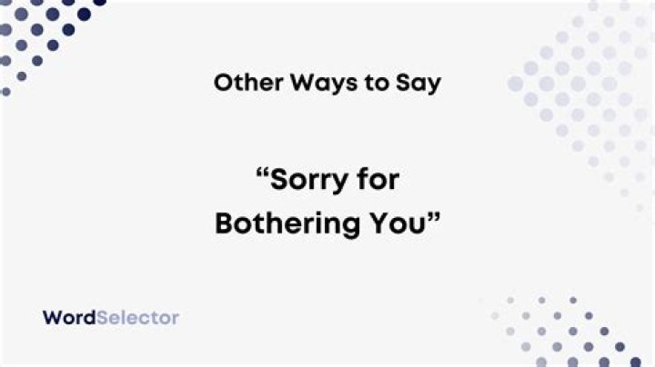 How do you say sorry for being a bother?