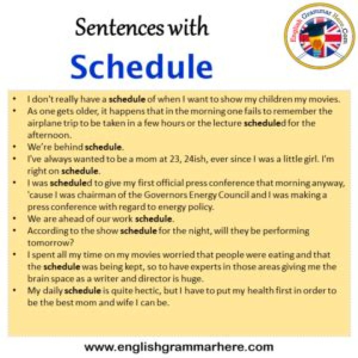 How do you use schedule in a sentence?