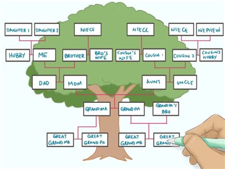 How do you write a family tree?