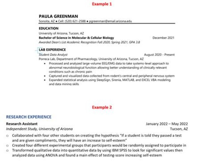How do you write research skills on a resume?