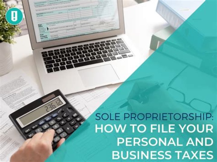 How does a sole proprietorship file taxes for a small business?