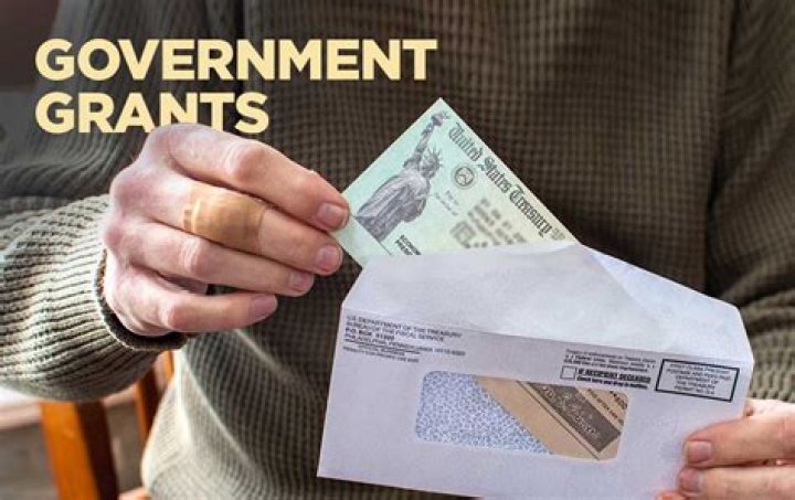 How does government grant money work?