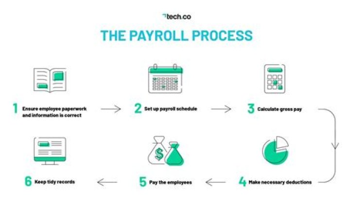 How does payroll work out how much tax you owe to HMRC?