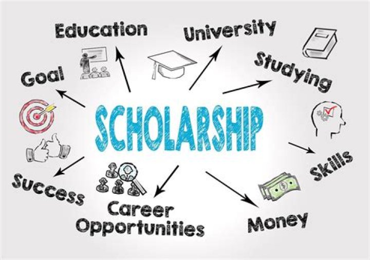 How does scholarship work in USA?