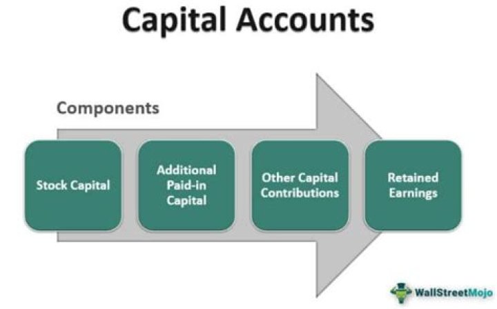 How does the capital account work in a LLC?