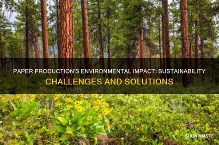 How does the production of paper affect the environment?
