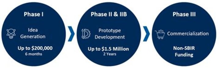 How does the SBIR program work?