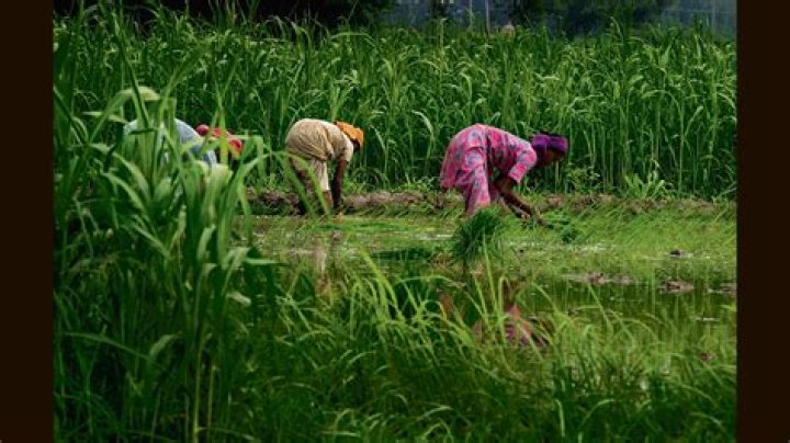 How is the profit on a land sale taxed?