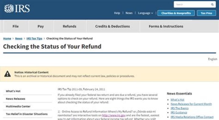 How long after I file my tax return can I check the status?