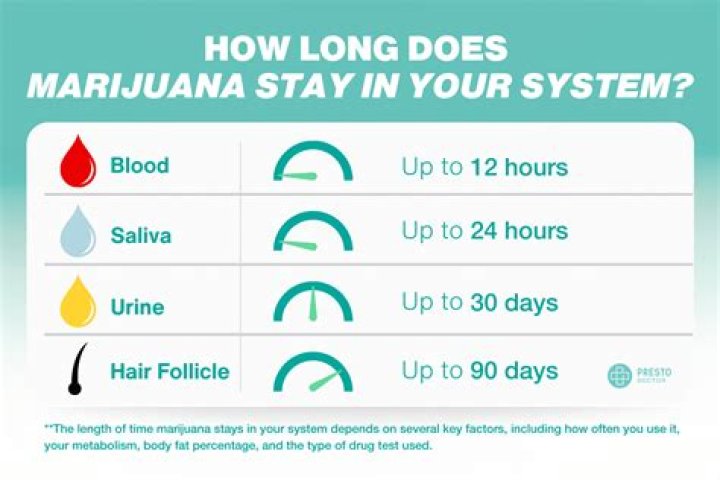 How long can a resident stay out of the US?