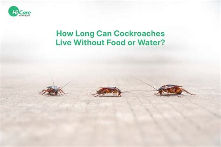 How long can you live in Massachusetts?