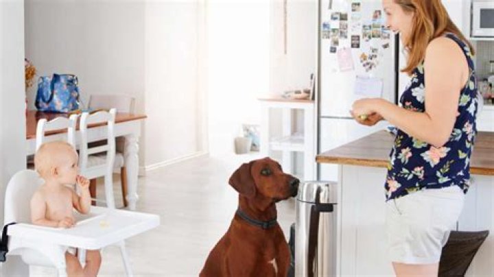 How long does it take for a child to adjust to a new home?