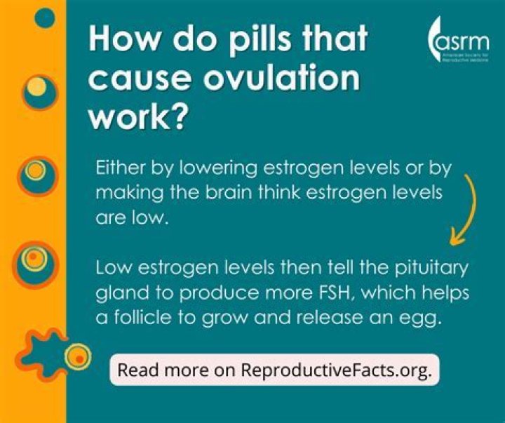 How long does it take for fertility pills to work?