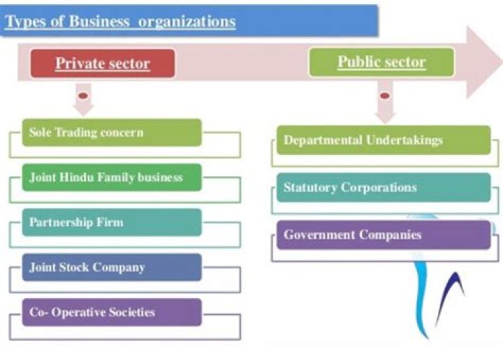 How many professional organizations are there?