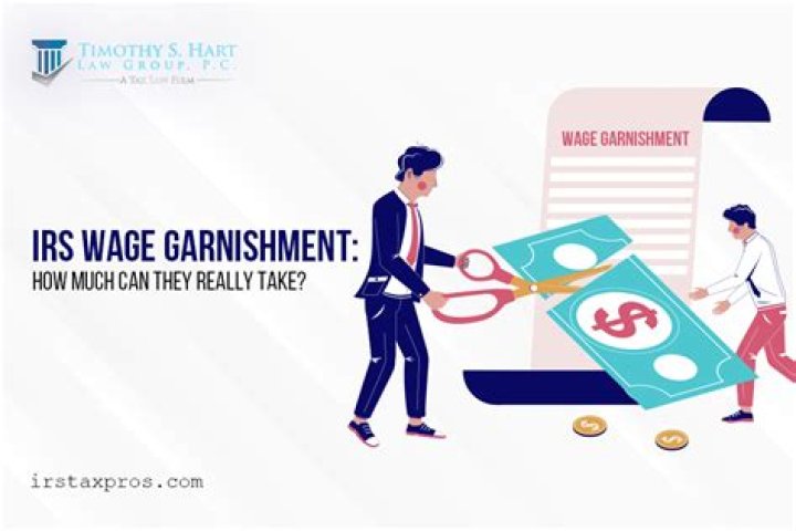 How much can the IRS garnish for student loans?