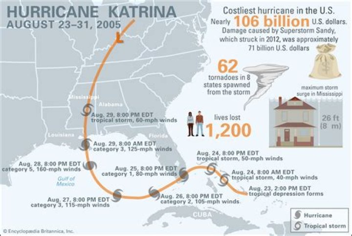 How much damage did Hurricane Katrina cars?