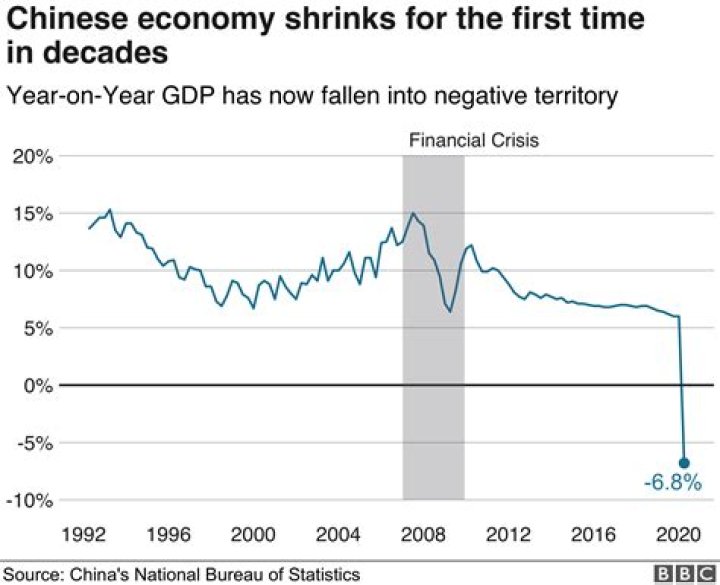 How much did the economy shrink in 2008?