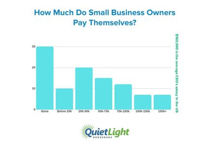 How much do business owners pay themselves?