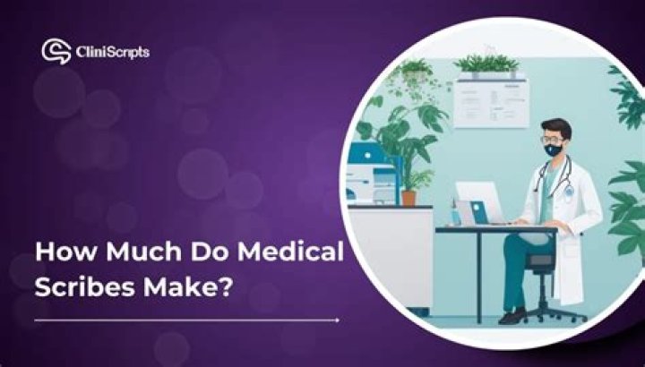 How much do part time medical scribes make?