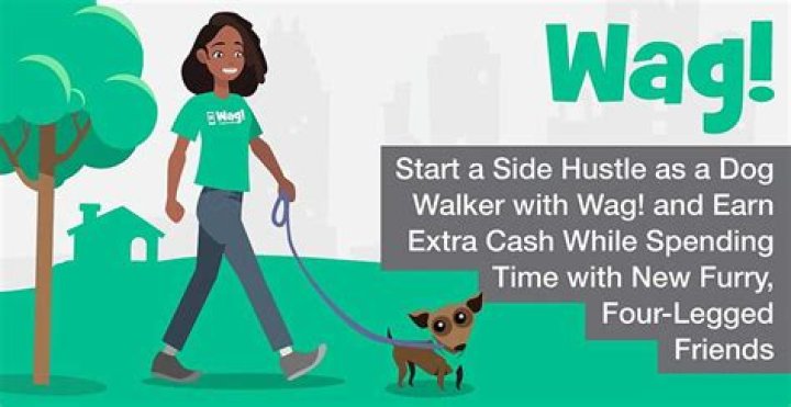 How much do Wag dog walkers make?