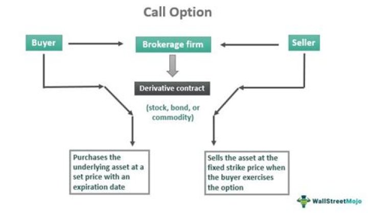 How much does a call option contract cost?