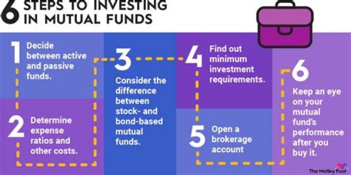 How much does a mutual fund earn?