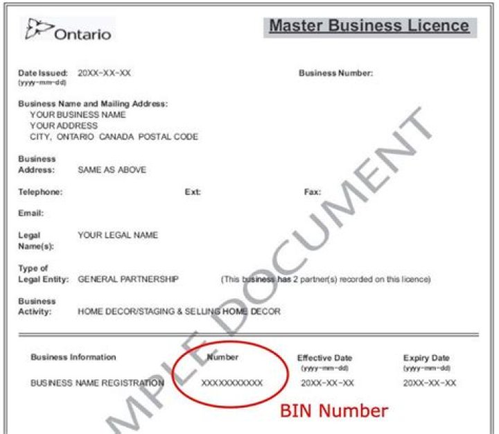 How much does business registration cost Ontario?