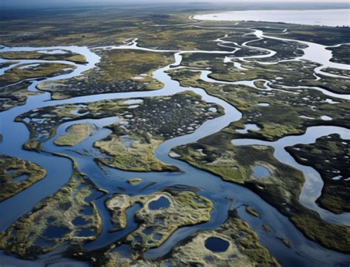 How much does WRP pay per acre?