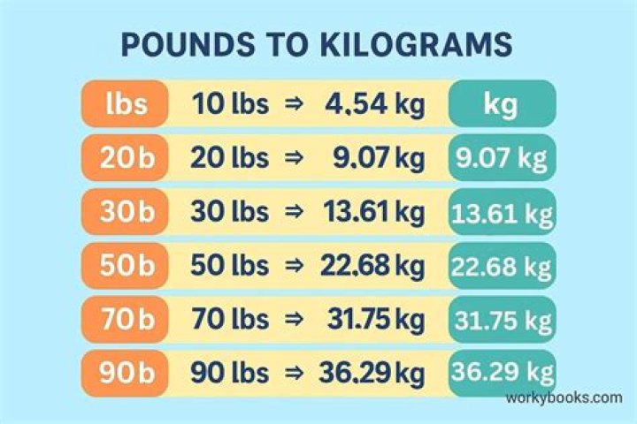 How much is 200 kg in US lbs?