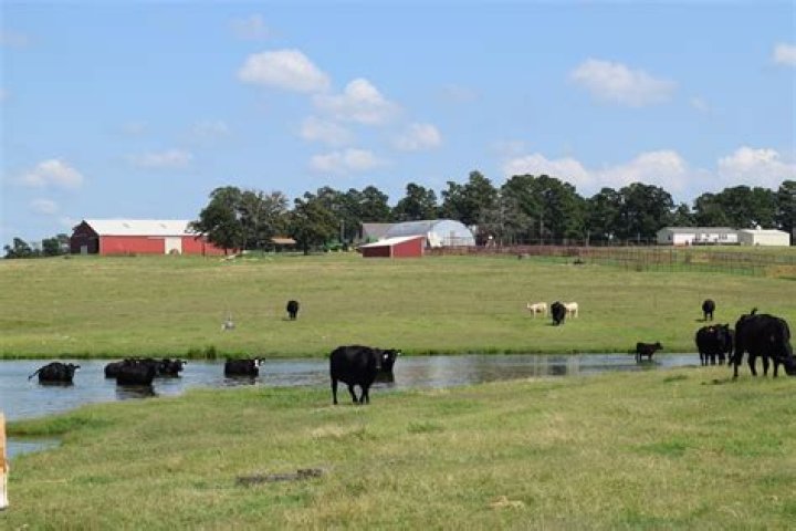 How much is pasture land worth per acre in Oklahoma?