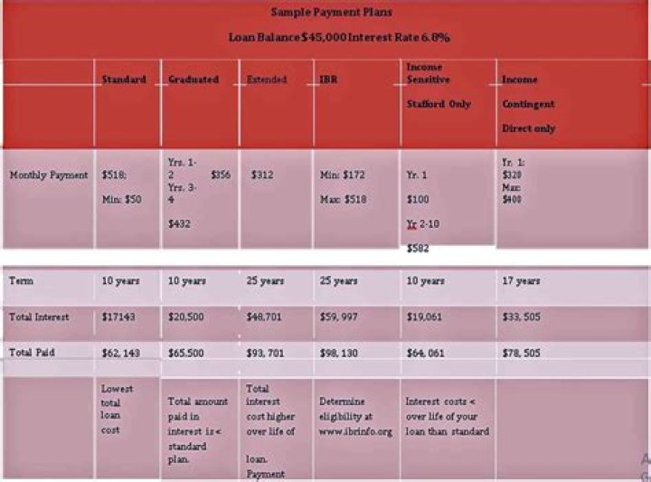 How much is the payment plan for taxes?