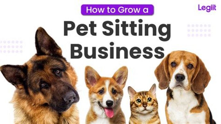 How much money can you make owning a pet sitting business?