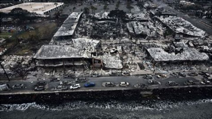 How much of the Bahamas was destroyed?