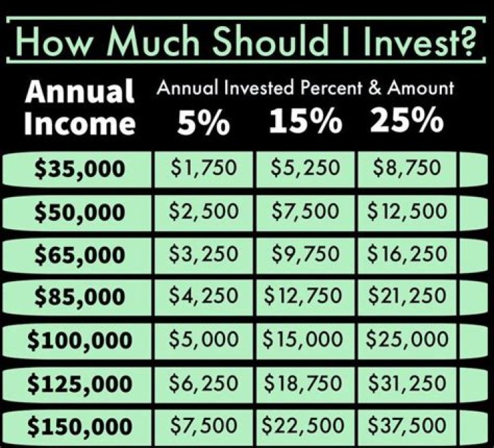How much should an investor invest in a company?