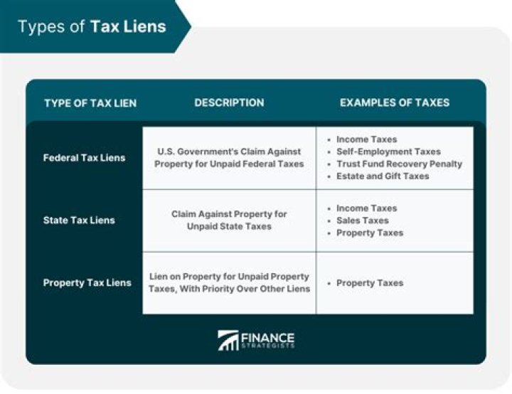 How to check for back taxes and tax liens?