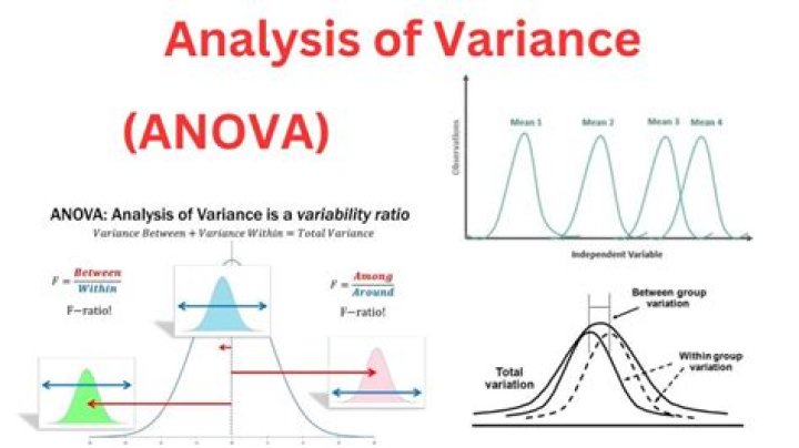 How would you identify the variance?
