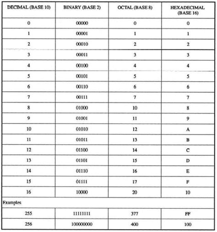 Importance of Octal and Hexadecimal Numbers