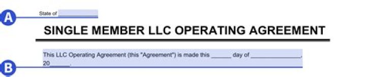 Is a single-member LLC an independent contractor?