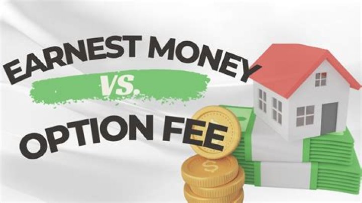 Is an option fee income?