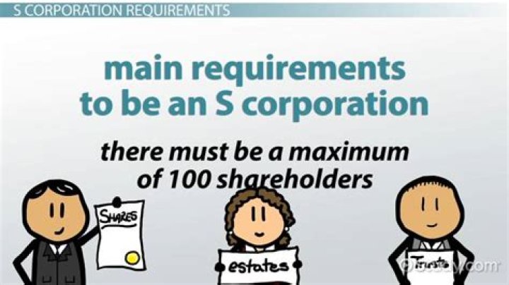 Is an S Corp a privately owned business?
