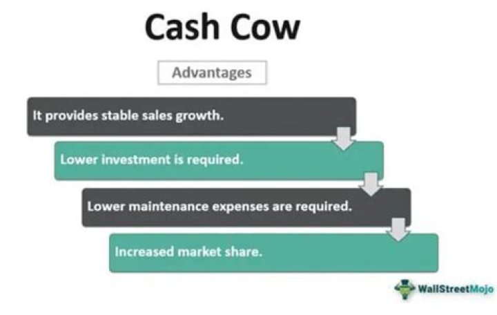 Is cash cow a good thing?