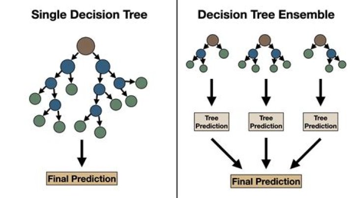 Is Decision Science the same as data science?