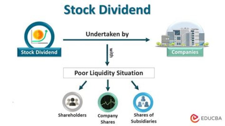 Is dividend distributed profit?