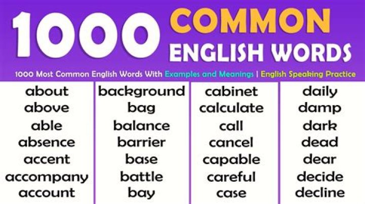 Is ergo a common word?